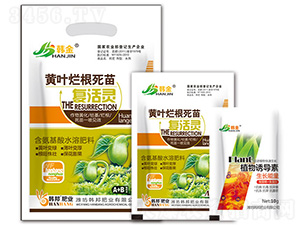 �S�~���������(f��)���`-�n��-�n��ʘI(y��)