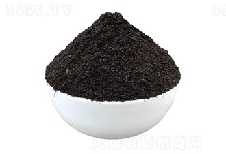 �l(f��)���u�S�ЙC��-�����ʘI(y��)