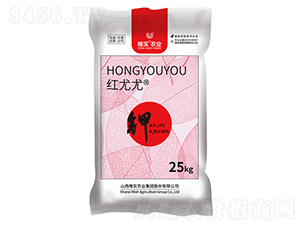 �w��⛷�-�t����-Ψ��