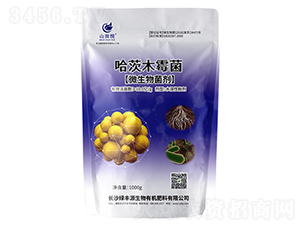 ����ľù��-ɽ�-�G�SԴ