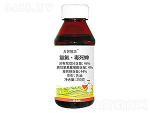 48%�ȷ�������������-�f(w��n)�ݪ�(d��)��-�f(w��n)��