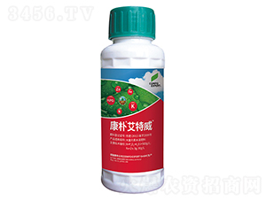 ���㰬����-����