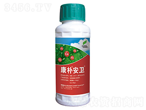 ���㰲�l(w��i)-����