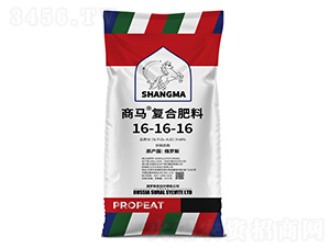 ��(f��)�Ϸ���16-16-16-���R-��ؐ��