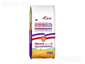 �ЙC�o�C�ͻ��25-10-10-������-���|�_�ʘI(y��)