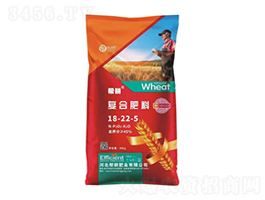 �ͺϷ���18-22-5-�͸��ʘI(y��)