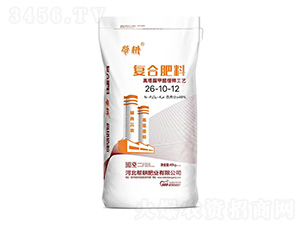 �������ȩ��ጏ�(f��)�Ϸ���26-10-12-�͸��ʘI(y��)