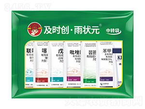 С�������G��-���r��(chu��ng)�����Ԫ-���r��