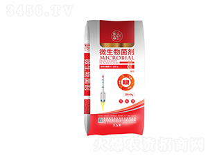 ΢�������-����(w��n)-���A����