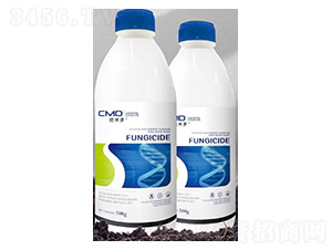 6%����ù��ˮ��-���׶�-����S