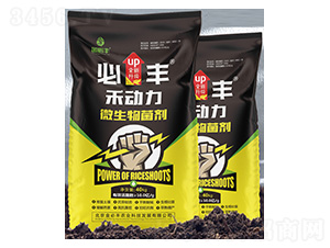 ΢�������-�̄���-����S