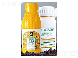 43%�����ء���ϩ��-�����\��(d��ng)��-����S