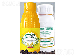 �|���؅^(q��)�������׿������a(ch��n)��-���װ����S-����S