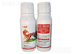 10%(li��n)�������x���Ҹ���200g-һ֧�e-�G������