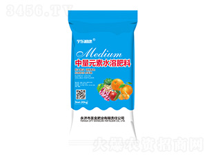 ����Ԫ��ˮ�ܷ���-��|ֲ��-ʥ��ʘI(y��)