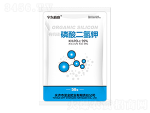 �ЙC(j��)����������-��|ֲ��-ʥ��ʘI(y��)