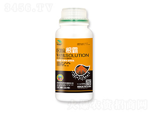 ��������ˮ�ܷ���-�������-��|ֲ��-ʥ��ʘI(y��)