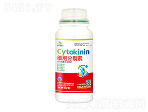 ��(x��)��������-��|ֲ��-ʥ��ʘI(y��) 