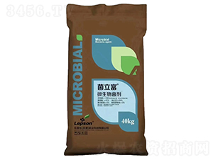 ΢�������-������-������