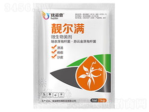 �n���M΢�������-�G����