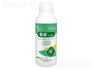 ���R12Ԫ��-�G����