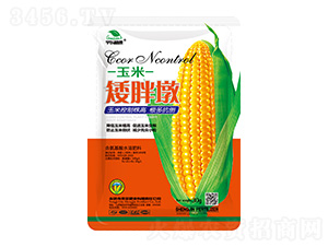 ���װ��ֶ�-��|ֲ��-ʥ��ʘI(y��)