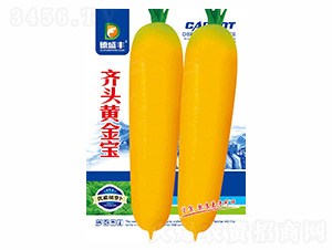 �R�^�S����-��ʢ�S