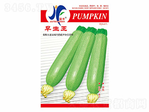 ������-�x�S-��ʢ�S