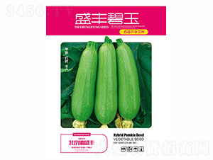 ʢ�S����-��ʢ�S