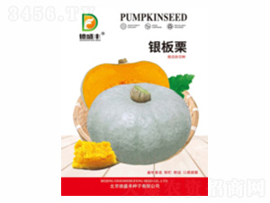 �y����-��ʢ�S