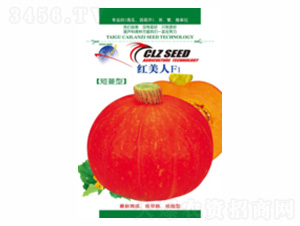 �t����-��ʢ�S