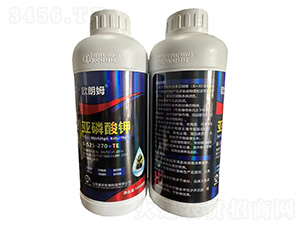 �������0-525-270+TE-�W��ķ-�W�ρ�