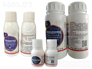 5%�װ������S���ر������}΢�鄩-���r(n��ng)��(gu��)̩