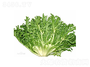 Korbi-���ķN��-���r(n��ng)�r(n��ng)�I(y��)