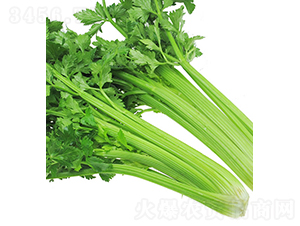 �������-�۲˷N��-���r(n��ng)�r(n��ng)�I(y��)