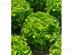 �_���R˹-���˷N��-���r(n��ng)�r(n��ng)�I(y��)