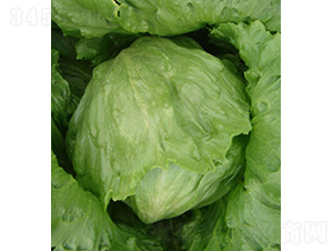 ����-���˷N��-���r(n��ng)�r(n��ng)�I(y��)