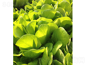 ���m����-���˷N��-���r(n��ng)�r(n��ng)�I(y��)