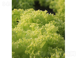 �R�[˹�أ�85-76��-���˷N��-���r(n��ng)�r(n��ng)�I(y��)