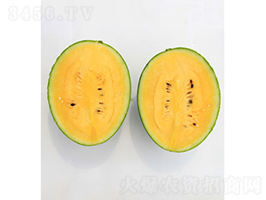 ���r(n��ng)��Ʒ1̖-���ϷN��-���r(n��ng)�r(n��ng)�I(y��)