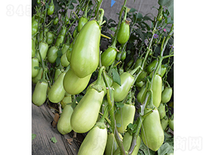 ���r(n��ng)�G��1̖(h��o)-���ӷN��-���r(n��ng)�r(n��ng)�I(y��)