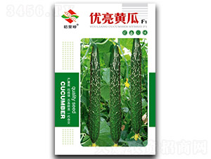 ��(y��u)���S��-�S�ϷN��-����ķ