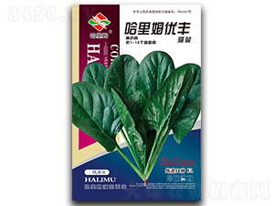 ����ķ��(y��u)�S-���˷N��-����ķ