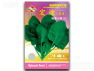 ��;-���˷N��-����ķ