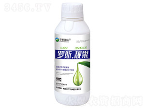 �_˹���n��-�A�r(n��ng)���H