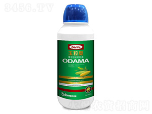 �����W-�������L������-�W����