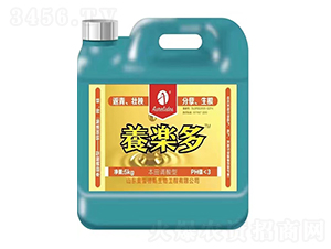 5kg���w����-�B(y��ng)����-�W�׵�˹