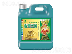 �����ܴa���w����-�W�׵�˹