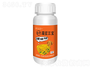 ���{����-��Ԫ�-ʢ������