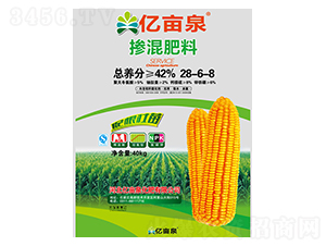 �������28-6-8-�|��Ȫ